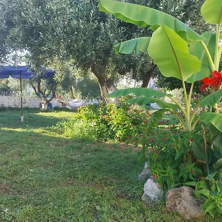 Casa Di Efi Vog * 锡基亚